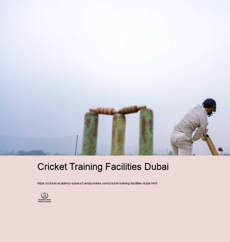 Cricket Training Facilities Dubai
